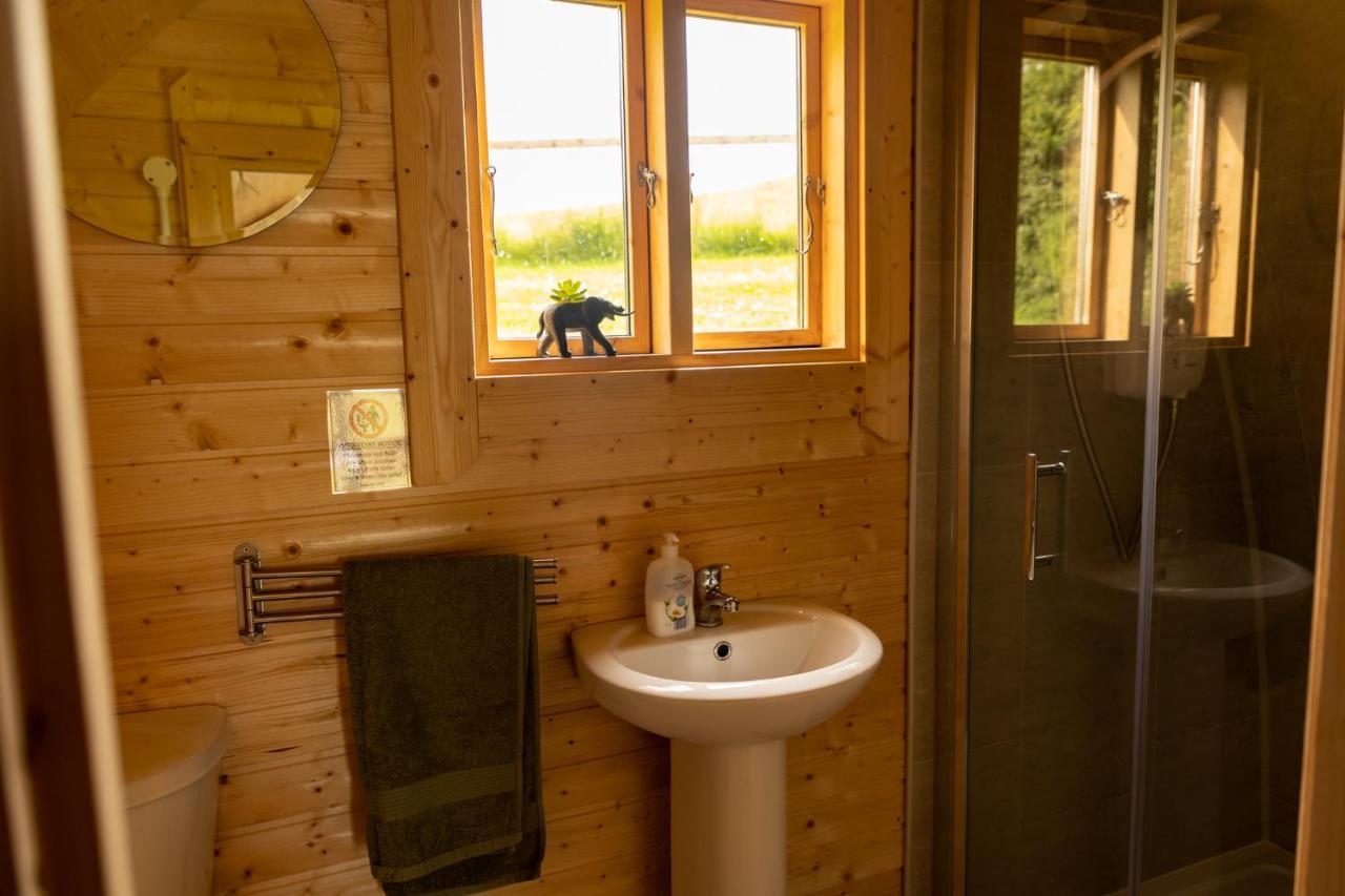 Ivy Hill Glamping Pod Apartamento Ennis Exterior foto